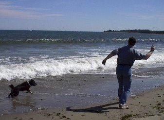 犬と海とパパ