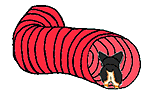 tunnel