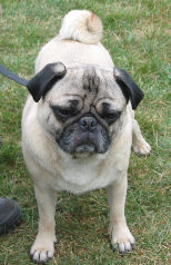 buster