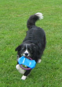 bessie