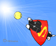 flyball_tabi