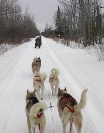 sled
