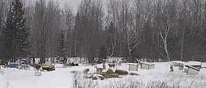 doghouses